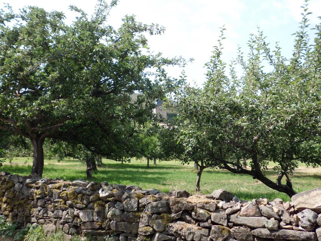Casa Rural La Altanera Barniedo de la Reina Exterior foto